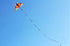 free shipping large fox kites for adults delta kite flying outdoor sports kites ripstop nylon fabric parachute kite lightweight