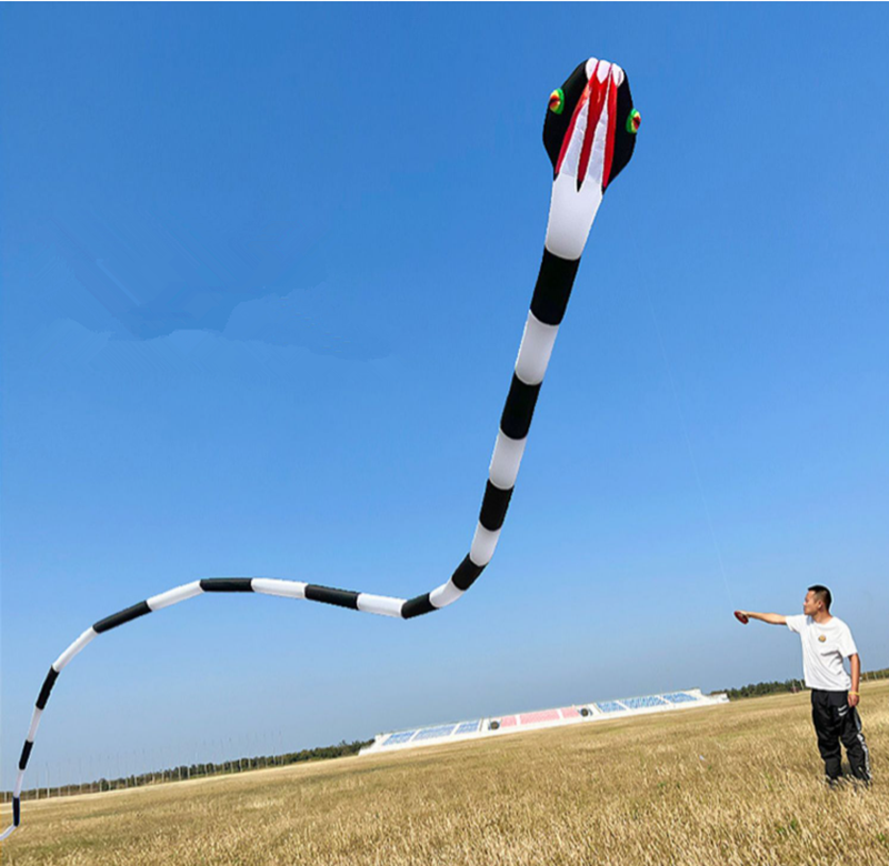 free shipping 3d kites flying snake kites for adults kites parachute inflatable kite dragon flight kite windsurfing professional