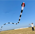 free shipping 3d kites flying snake kites for adults kites parachute inflatable kite dragon flight kite windsurfing professional