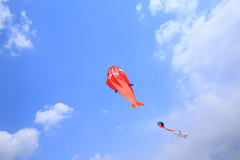 free shipping large soft kite dolphin kite nylon kite line animated kites flying inflatable kite reel outdoor fun toys Parafoil