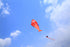 free shipping large soft kite dolphin kite nylon kite line animated kites flying inflatable kite reel outdoor fun toys Parafoil