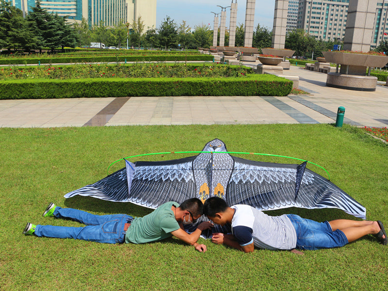 free shipping 360cm large eagle kite ripstop nylon fabric kite kiteboard windsock flying kite for children kites factory ikite