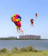Free Shipping 350cm kite windsocks flying for adults kites shows kites pendant inflatable kites weifang kites Outdoor play flies