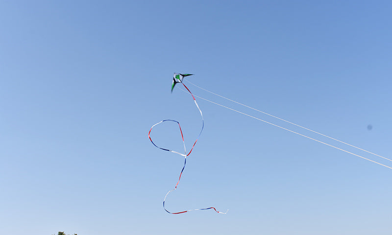 free shipping 210cm dual line stunt kites sword kites flying toys for kids kites new beginner kite windsurfing professional wind