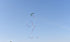 free shipping 210cm dual line stunt kites sword kites flying toys for kids kites new beginner kite windsurfing professional wind
