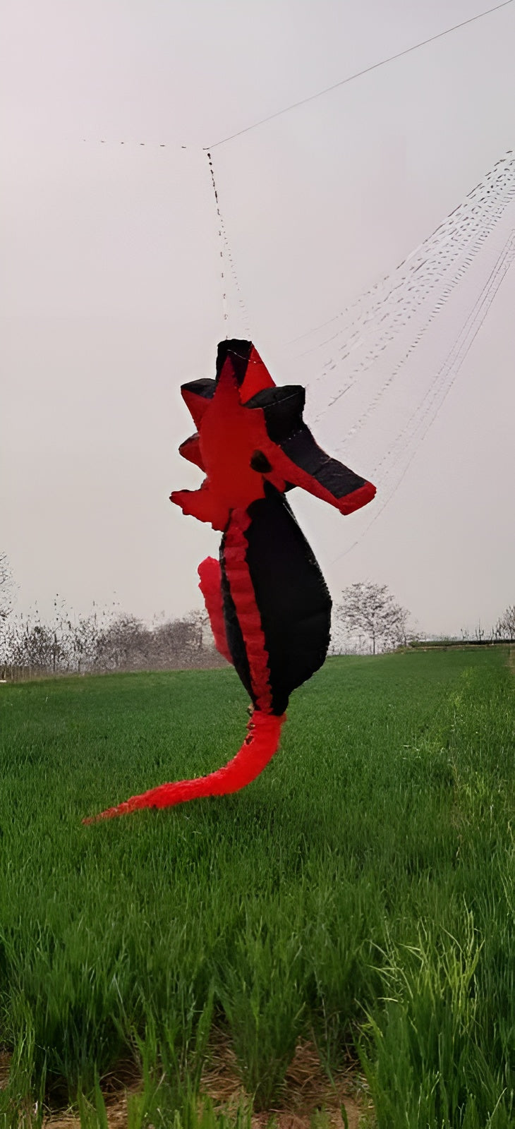 High Quality 5m Seahorse Kite Pendant for Audlts Outdoor Fun Soft Inflatable Show Kites Line Laundry Toys