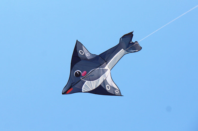 free shipping 10pcs dolphin kites flying toys for children kites factory nylon kites reel snakes kites wholesale weifang ikite