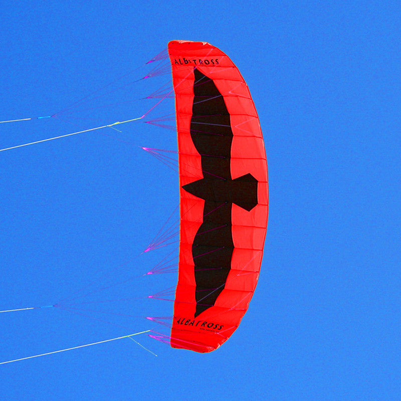 free shipping 5sqm large quad line power kite for adults kite parafoil board kite surfing cometa parachute cometas infantiles