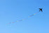 Free Shipping large kites flying plane kites for adults kites string line snake coil ripstop rainbow high wind pointer Kevlar