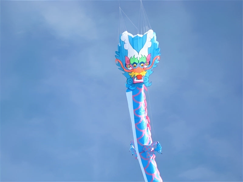 free shipping 35m dragon kite flying adults kite professional wind kite pendant soft kites traditional snake kite paraglider