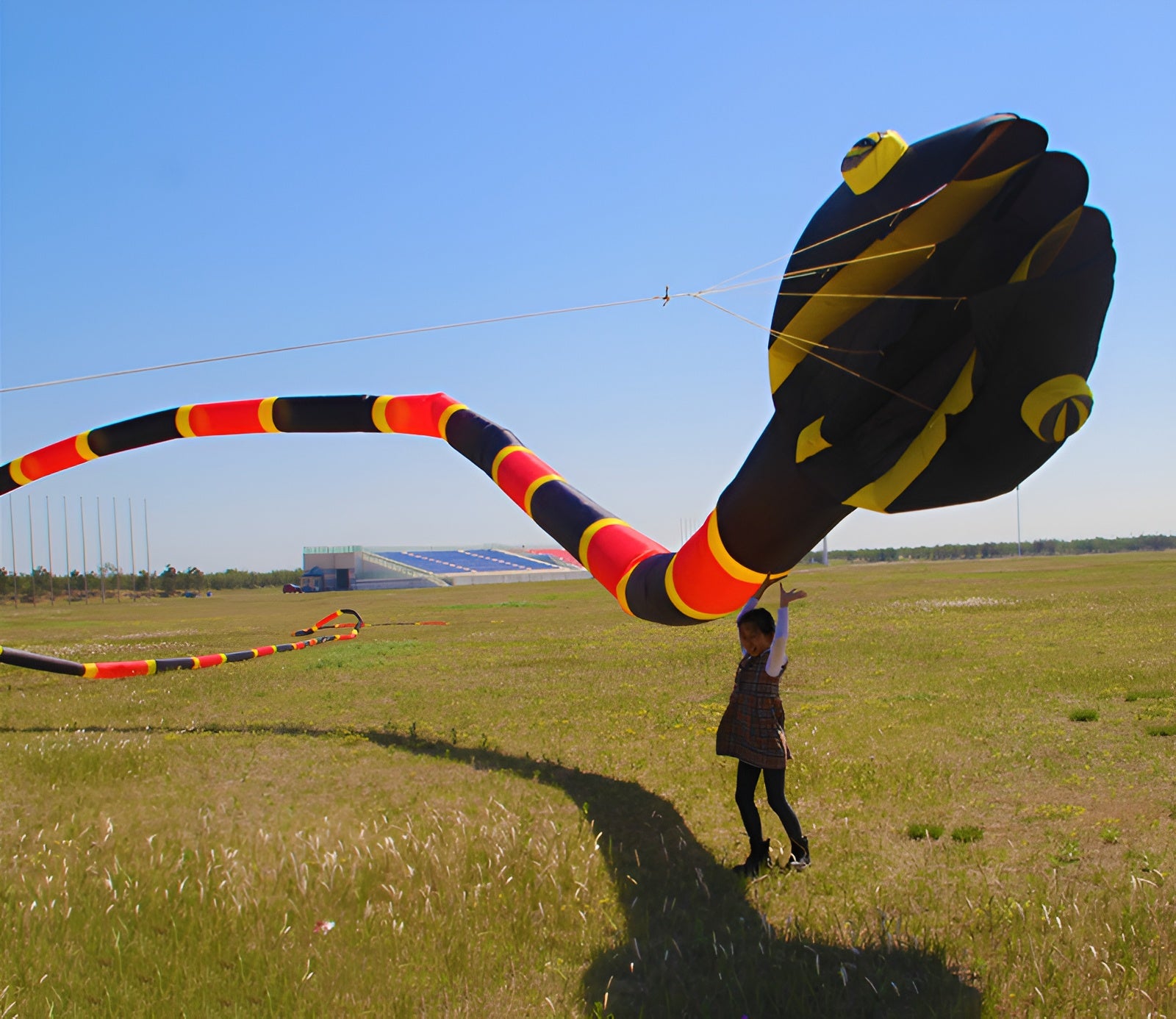 Free shipping snake soft kites professional kites for adults kite flying steering kites inflatable kite large kite flying kevlar