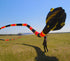Free shipping snake soft kites professional kites for adults kite flying steering kites inflatable kite large kite flying kevlar
