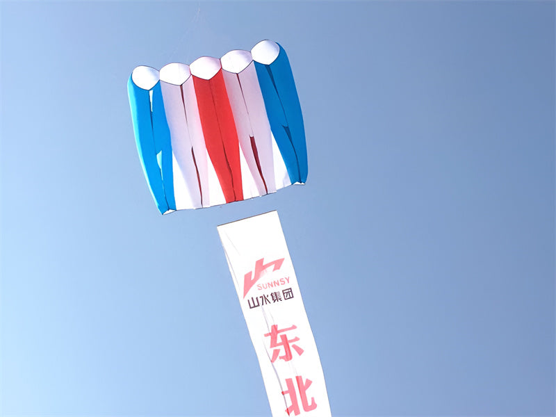 free shipping 36sqm pilot kite flying large soft kite parachute kite pendant jellyfish kite octopus kite inflatable show kite