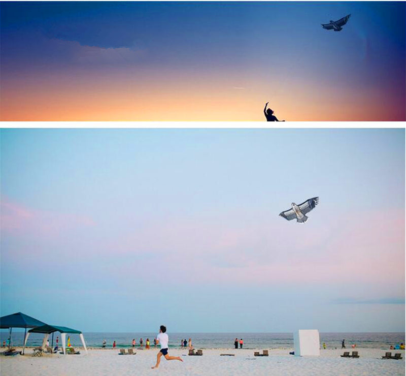 free shipping new eagle kite flying string line for kids kite factory outdoot sports games toys for children kites bird kite koi