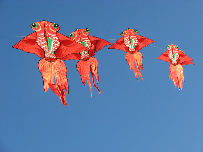 free shipping goldfish kite flying traditional swallow kite string line for children kites fish kites kids toys outdoor game koi