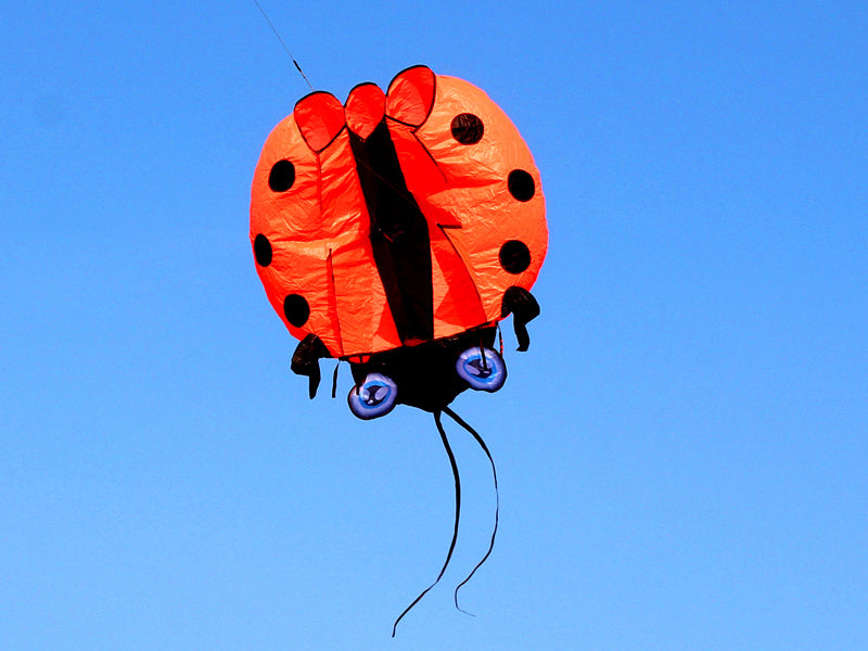 free shipping large ladybug 3D soft kite outdoor flying toys kites for adults vlieger kitesurf kite reel weifang kite factory