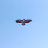 free shipping new eagle kite flying string line for kids kite factory outdoot sports games toys for children kites bird kite koi