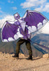 Free Shipping dragon kites flying for children kites fabric nylon weifang kites factory Outdoor toys flying dragon kite surfing