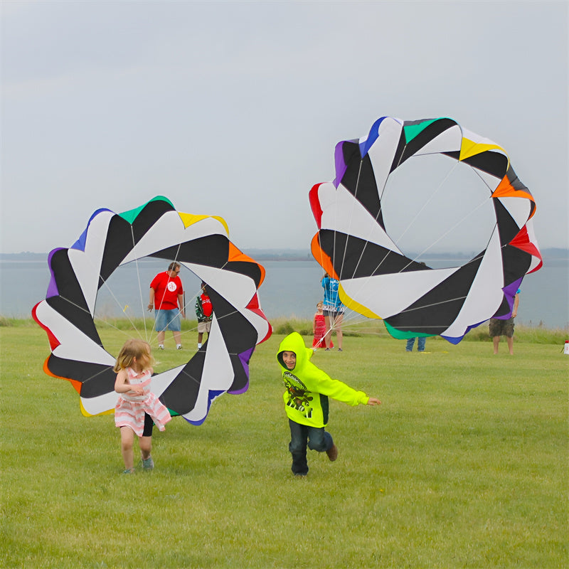 Free Shipping 2m Snake Spinning Windsock Ring Kite Line Laundry Inflatable Show Kite for Kite Festival Best 30D Ripstop Nylon with Bag