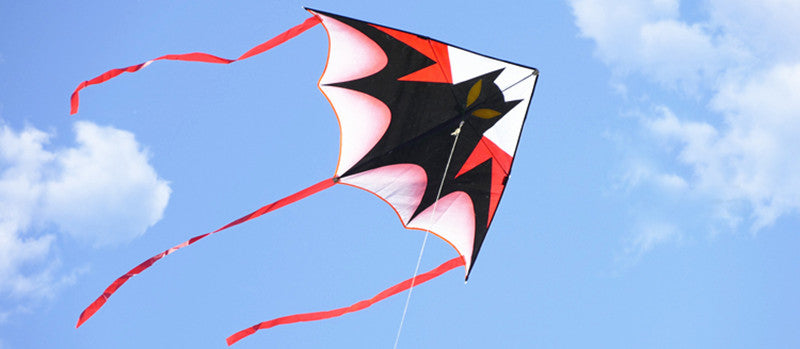 free shipping large bat kite flying children kite reel outdoor sports game kids toys ripstop nylon fabric primaris koinobori