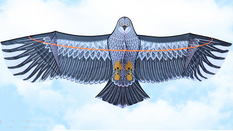 free shipping 360cm large eagle kite ripstop nylon fabric kite kiteboard windsock flying kite for children kites factory ikite