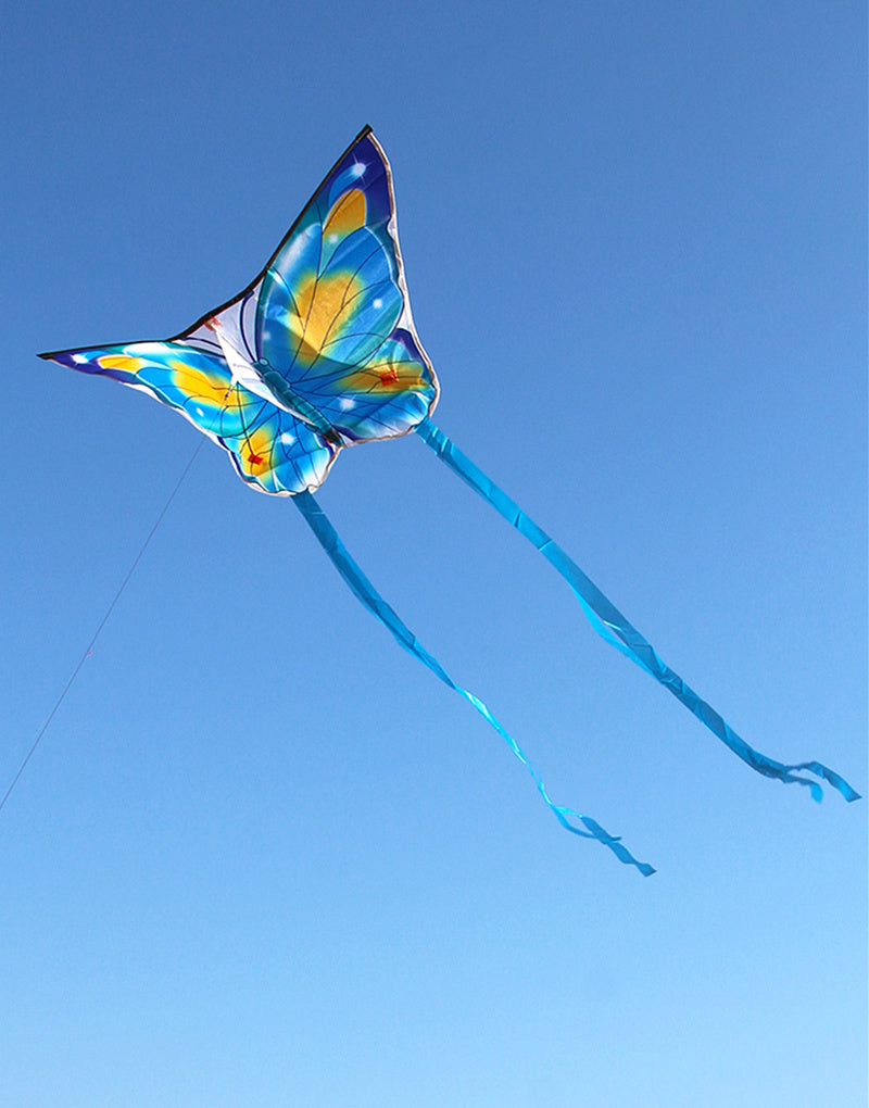 free shipping butterfly kites flying for kids kites nylon kites factory professional winds kites recreational reel flying fairy