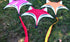 free shipping fox kite flying swallow kite toys nylon kites birds kites single line kite for children butterfly kite factory