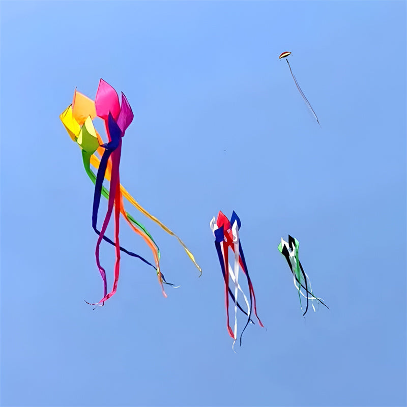 Free Shipping 350cm kite windsocks flying for adults kites shows kites pendant inflatable kites weifang kites Outdoor play flies