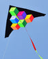free shipping step by step kite with handle line kite fabric ripstop kite factory kitesurf cerf volant fishing accessories