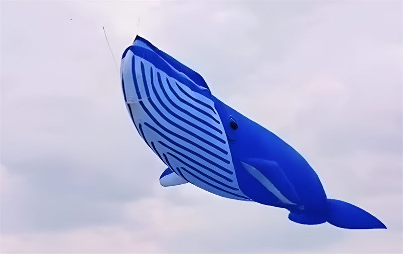 free shipping 20m whale kite pendant giant kite flying shark kite nylon fabric professional kite factory weifang kaixuan kites