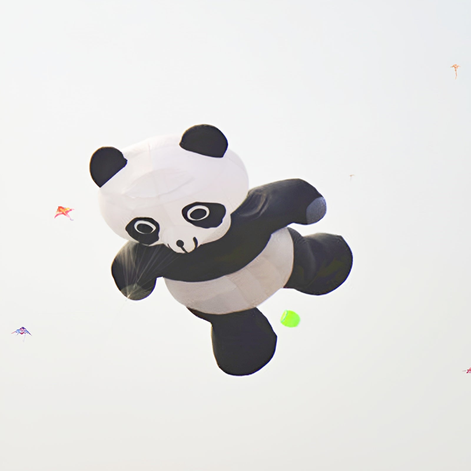 free shipping 3d kite large dinosaur kite flying inflatable kite for adults professional octopus kite panda kite pendant weather