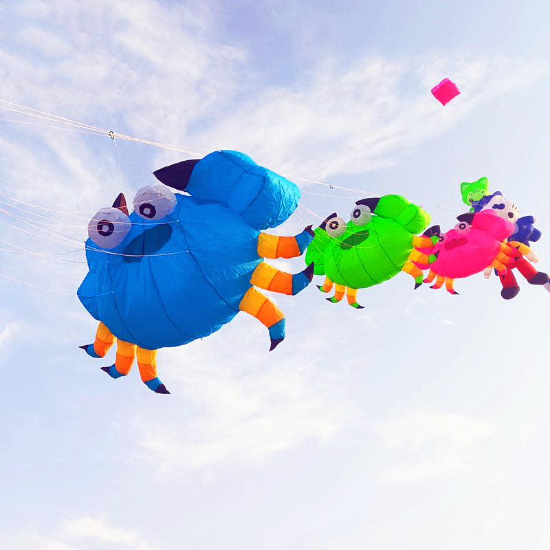 Free shipping soft kites pendant flying show kites crab kites inflatable kites factory airplane kite inflatable show kites
