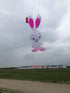 free shipping rabbit kites flying for adults kites pendant professional wind kites line giant kites factory inflatable kites koi