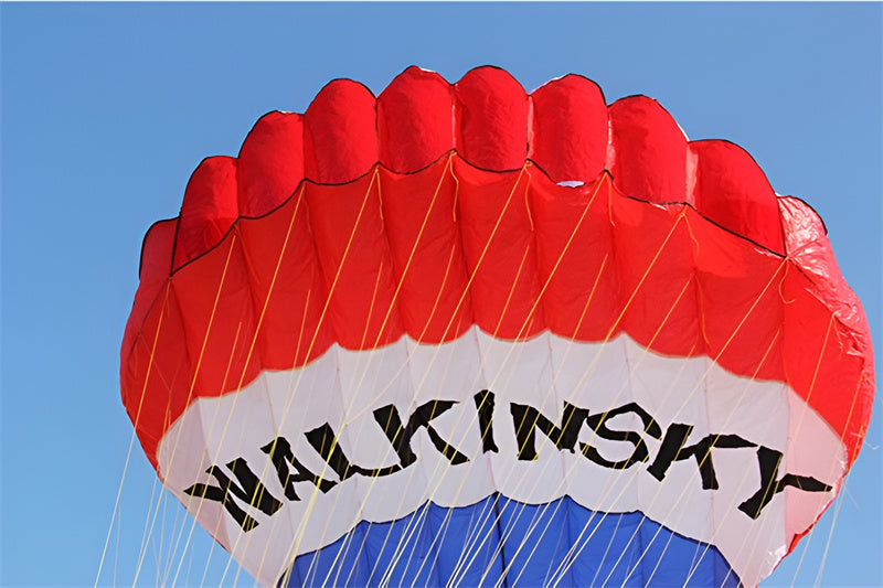 free shipping large inflatable kite hot air balloon kite flying for adults professional kites windsock kitesurf equipment koi