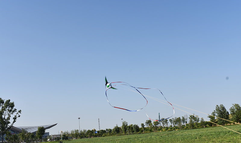 free shipping 210cm dual line stunt kites sword kites flying toys for kids kites new beginner kite windsurfing professional wind