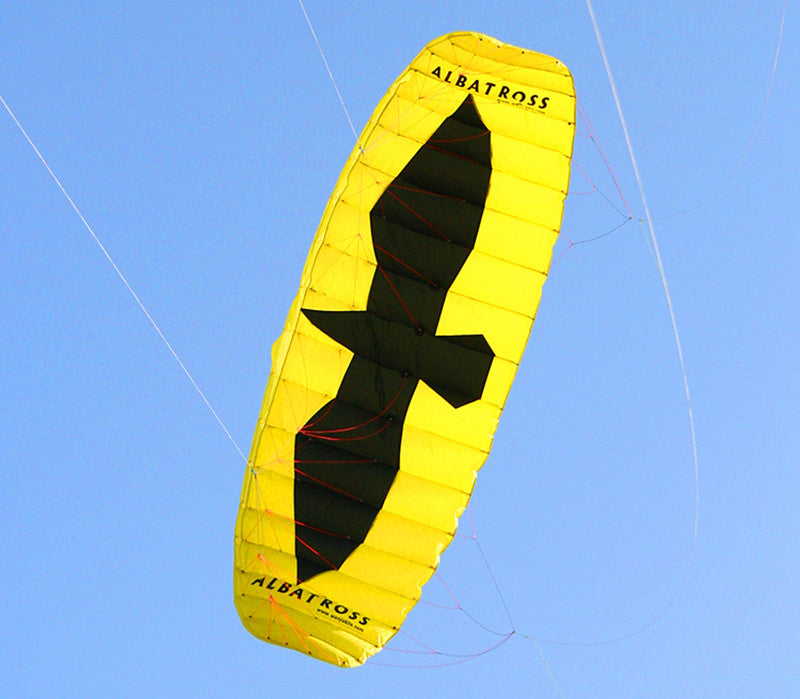 free shipping 5sqm large quad line power kite for adults kite parafoil board kite surfing cometa parachute cometas infantiles