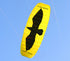 free shipping 5sqm large quad line power kite for adults kite parafoil board kite surfing cometa parachute cometas infantiles