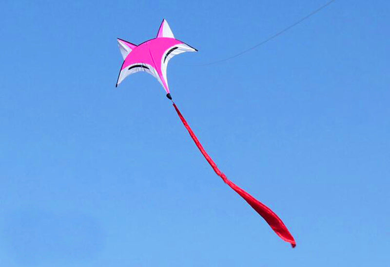 free shipping fox kite flying swallow kite toys nylon kites birds kites single line kite for children butterfly kite factory