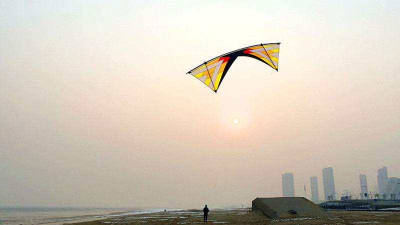 free shipping Windrider II quad line stunt kite adults kites real parachute fabric Freilein kite factory outdoor koi paraglider
