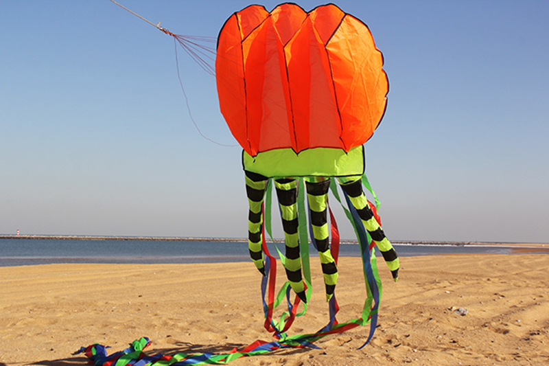 free shipping 8m jellyfish kites flying for adults kites line nylon kites factory professional paragliding inflatable show kites