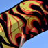 free shipping firebird kite flying children eagle kite toys nylon kites birds kites parachute indonesia line for kite paracaida
