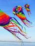 free shipping new kites windsocks 3d kites tails large kites for adults kites accessories soft kites outdoor toy Parachute kites