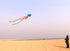 free shipping 8m jellyfish kites flying toys for kids kites line outdoor sports beach kites reel weifang kites factory ikite koi