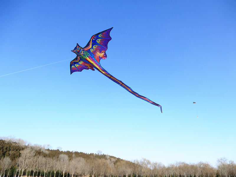 free shipping dragon kites flying toys for children kites reel nylon ripstop kites line birds kites factory japanese fish kite