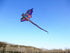 free shipping dragon kites flying toys for children kites reel nylon ripstop kites line birds kites factory japanese fish kite