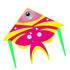 free shipping fish kite for children reel outdoor game flying toys for kids game from fabric beach wind parrot ikite factory