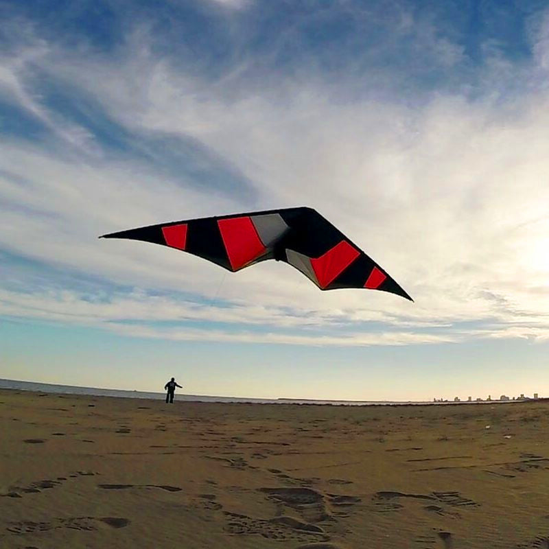 free shipping Freilein kite Factory dual line stunt kite flying professional wind kites for adults reel parapent voar pipe koi