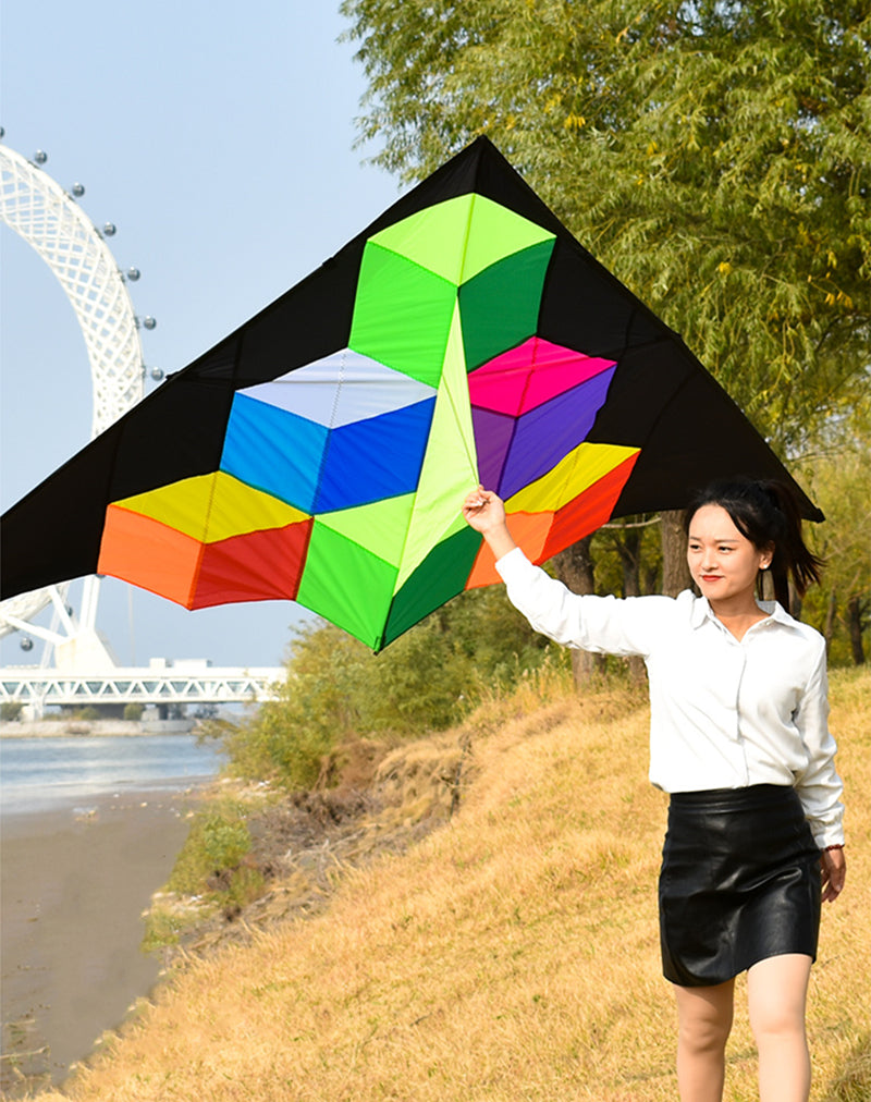 free shipping step by step kite with handle line kite fabric ripstop kite factory kitesurf cerf volant fishing accessories