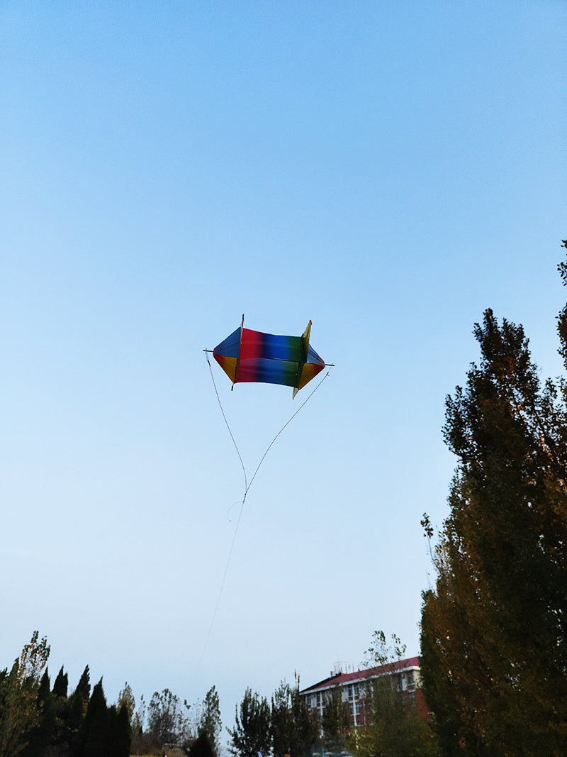 free shipping PE rotating kite flying toys for children kites 3d kites snake coil show kites colorful flying weifang kites fish