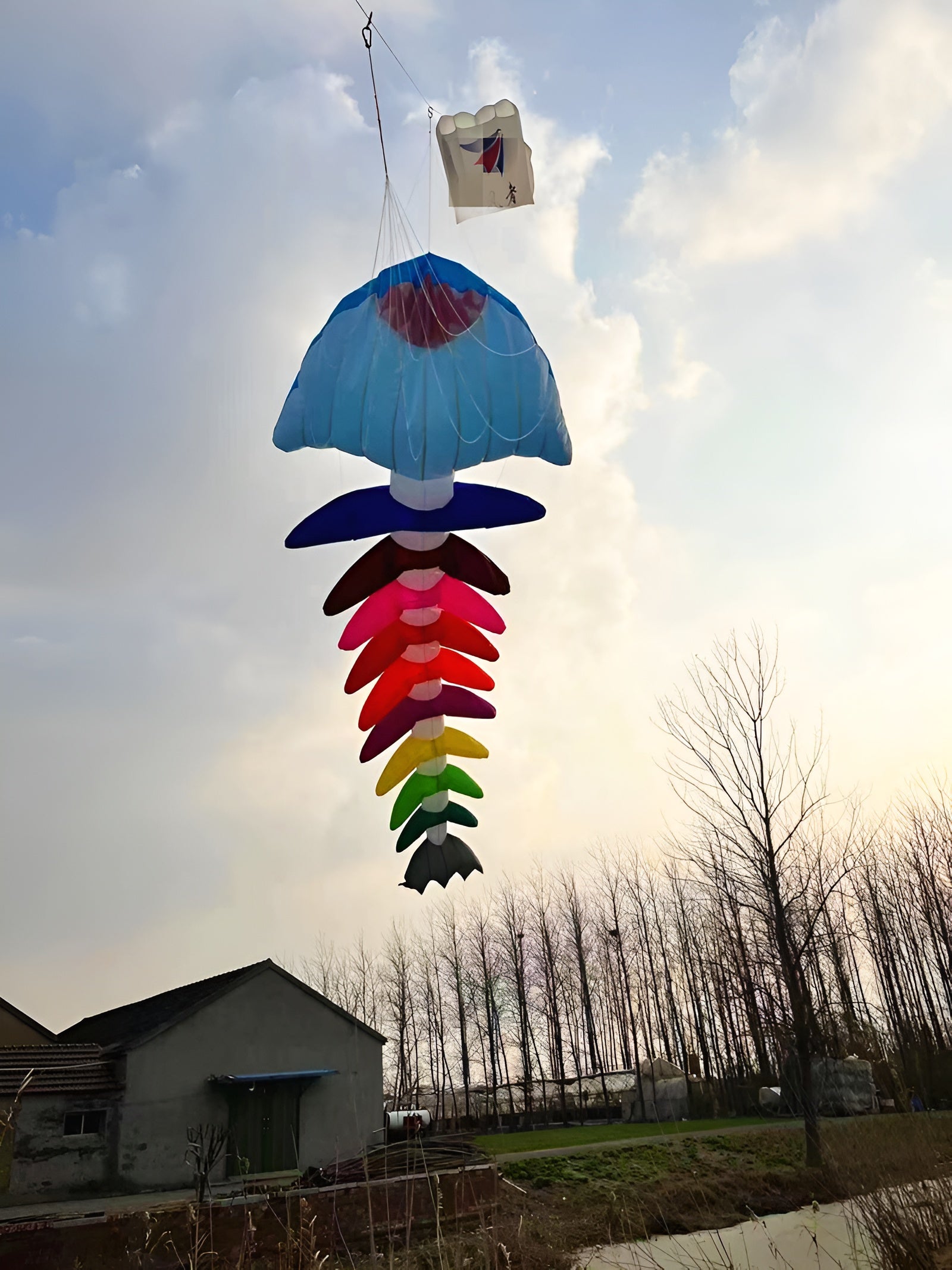 Free shipping fishbone soft kites pendant flying fish kites for adults inflatable show kites cometas de viento wind sock